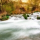 El río Júcar en algúnos tramos muestra una singular belleza